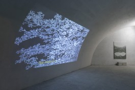 “Wealth Through Superior Willpower” 2023 Full-HD Video 5:35 min, Audio-Spur 2.100€ (1/3 + 1 AP + 1 EP)