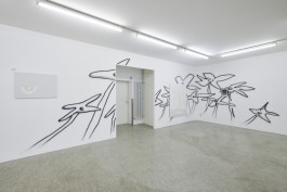 René Radomsky Galerie Annette Oechsner Foto: Annette Kradisch 